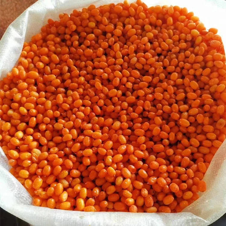 frozen sea buckthorn berries supplier