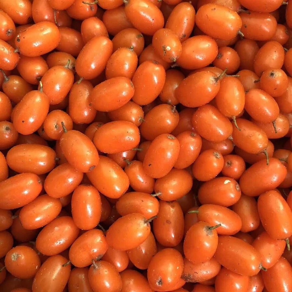IQF sea buckthorn berries supplier