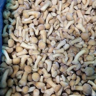 Come riconoscere il fungo nameko?