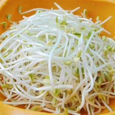 Fagioli verdi di germogli di soia